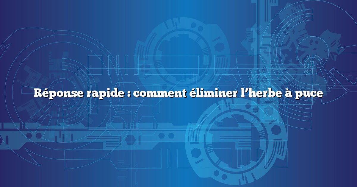 Réponse rapide : comment éliminer l’herbe à puce